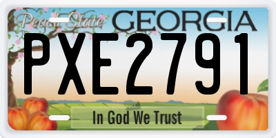 GA license plate PXE2791