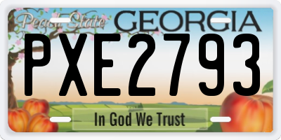 GA license plate PXE2793