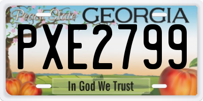 GA license plate PXE2799