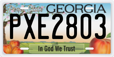 GA license plate PXE2803