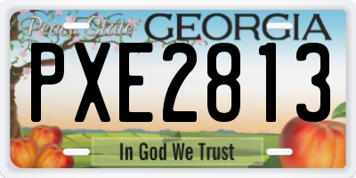 GA license plate PXE2813