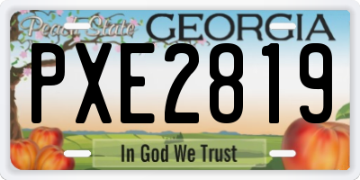 GA license plate PXE2819