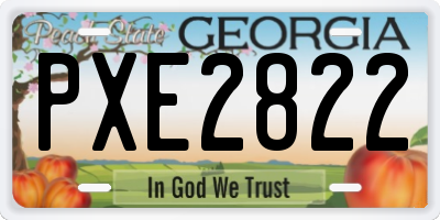 GA license plate PXE2822