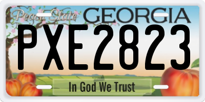 GA license plate PXE2823