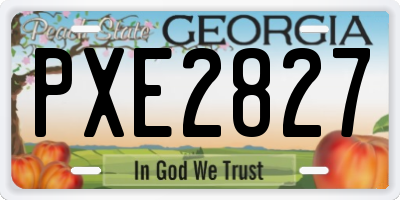 GA license plate PXE2827
