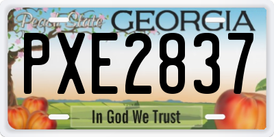 GA license plate PXE2837