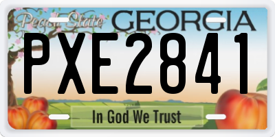 GA license plate PXE2841