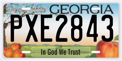 GA license plate PXE2843