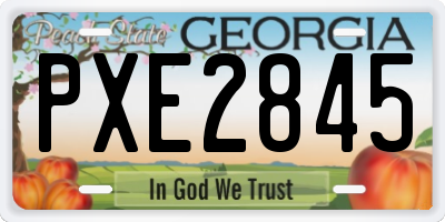 GA license plate PXE2845
