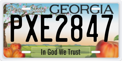 GA license plate PXE2847
