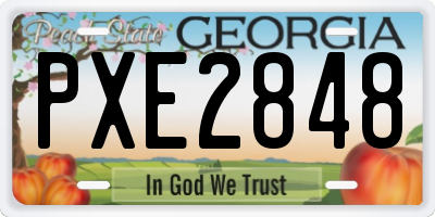 GA license plate PXE2848