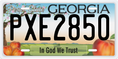 GA license plate PXE2850