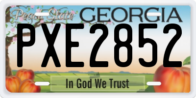 GA license plate PXE2852
