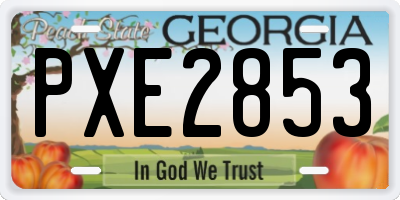 GA license plate PXE2853