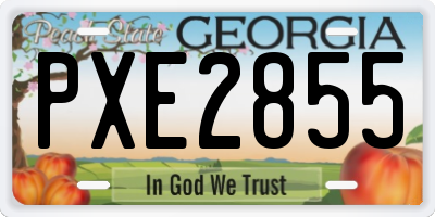 GA license plate PXE2855