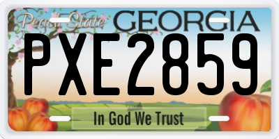 GA license plate PXE2859