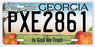 GA license plate PXE2861