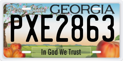 GA license plate PXE2863