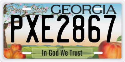 GA license plate PXE2867