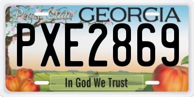 GA license plate PXE2869