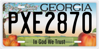 GA license plate PXE2870
