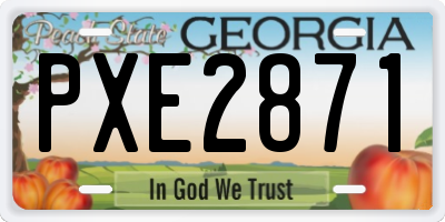 GA license plate PXE2871