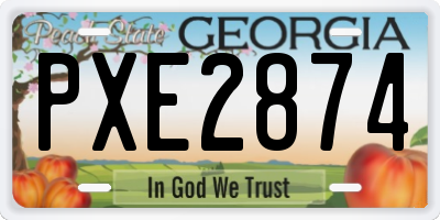 GA license plate PXE2874