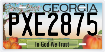 GA license plate PXE2875