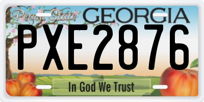 GA license plate PXE2876