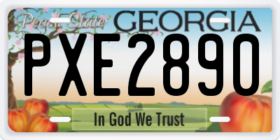 GA license plate PXE2890