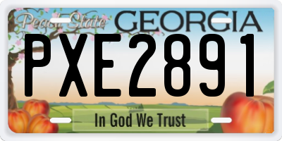 GA license plate PXE2891