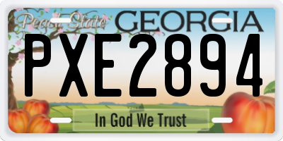 GA license plate PXE2894