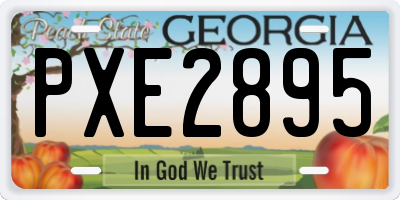 GA license plate PXE2895