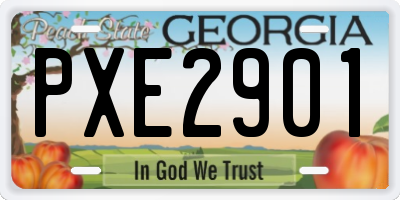 GA license plate PXE2901