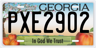GA license plate PXE2902