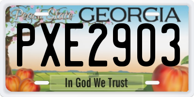 GA license plate PXE2903