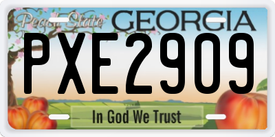 GA license plate PXE2909