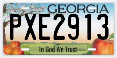 GA license plate PXE2913