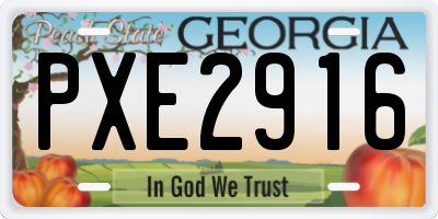 GA license plate PXE2916