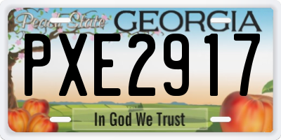 GA license plate PXE2917