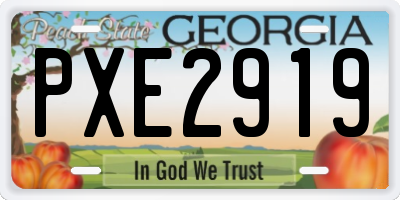 GA license plate PXE2919