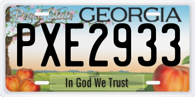 GA license plate PXE2933