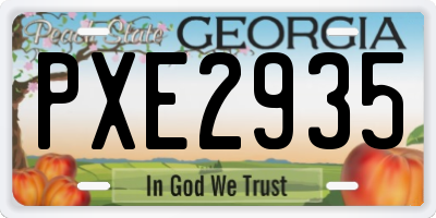 GA license plate PXE2935