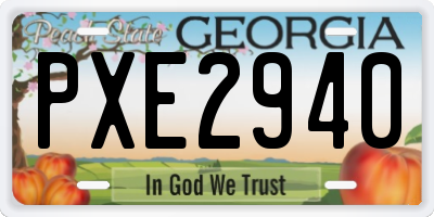 GA license plate PXE2940