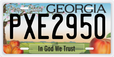 GA license plate PXE2950
