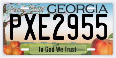 GA license plate PXE2955
