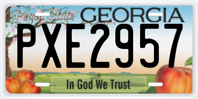 GA license plate PXE2957