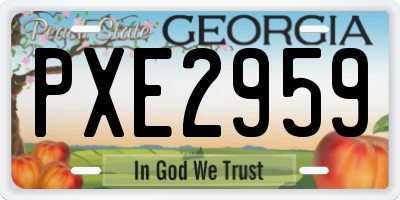 GA license plate PXE2959