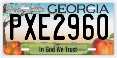 GA license plate PXE2960