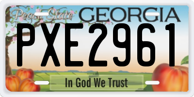 GA license plate PXE2961